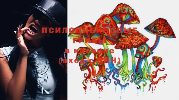 прущий лед Абаза