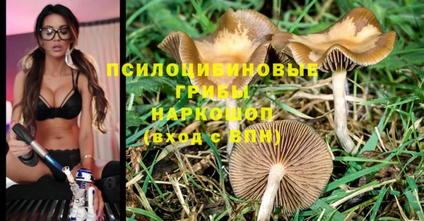 прущий лед Абаза
