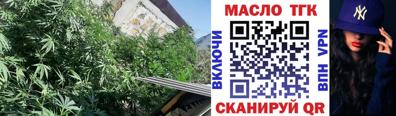 купить наркотики сайты  shop телеграм  Дистиллят ТГК Wax  Елизаветинская 