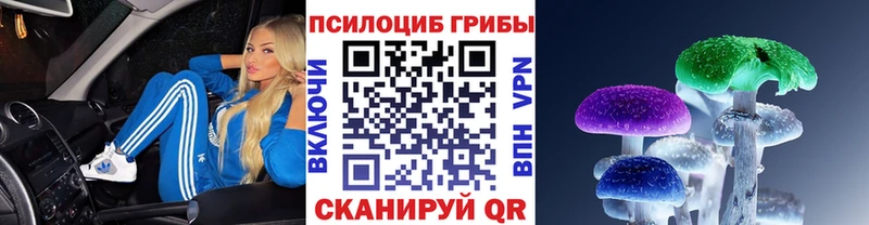 мега маркетплейс  Елизаветинская  Псилоцибиновые грибы Psilocybe 